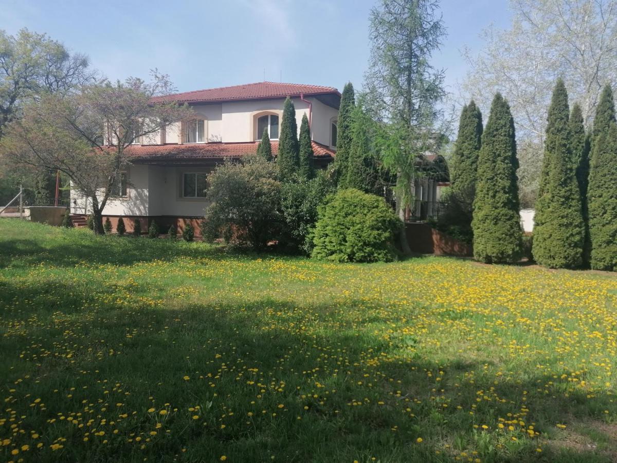 Hotel Szieszta Tölgyes Nyíregyháza Kültér fotó
